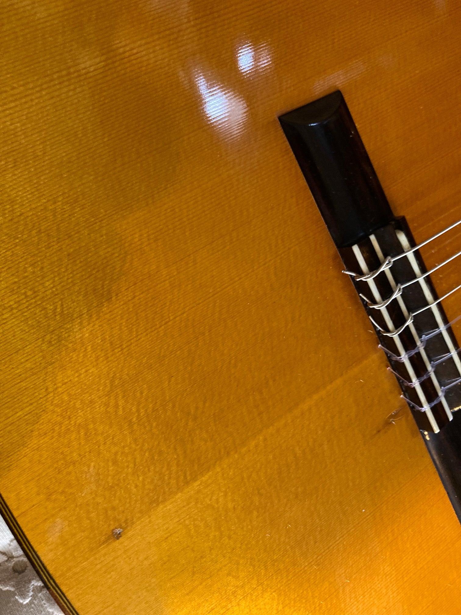 Meiko A6 by M.Matano